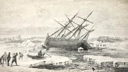 The Fox on a Rock near Buchan Island